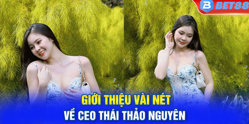 Giới thiệu những nét sơ bộ về CEO Thái Thảo Nguyên